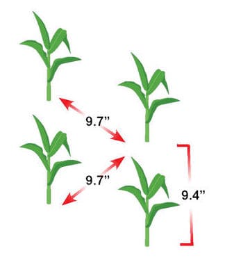 Twin Row - Monosem