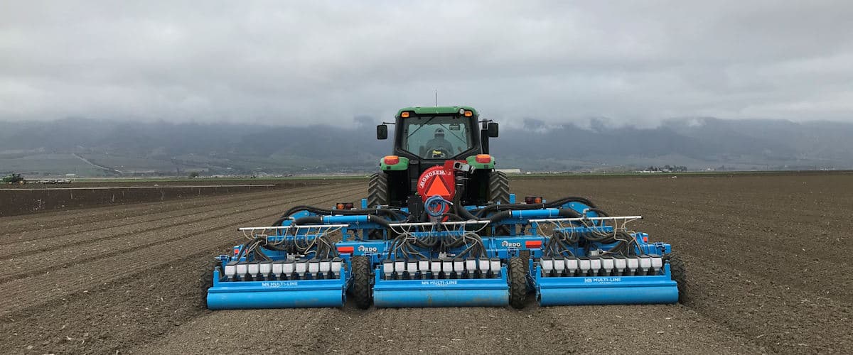 MS Mini Seed